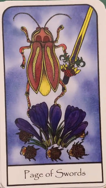 Nature Spirit Tarot